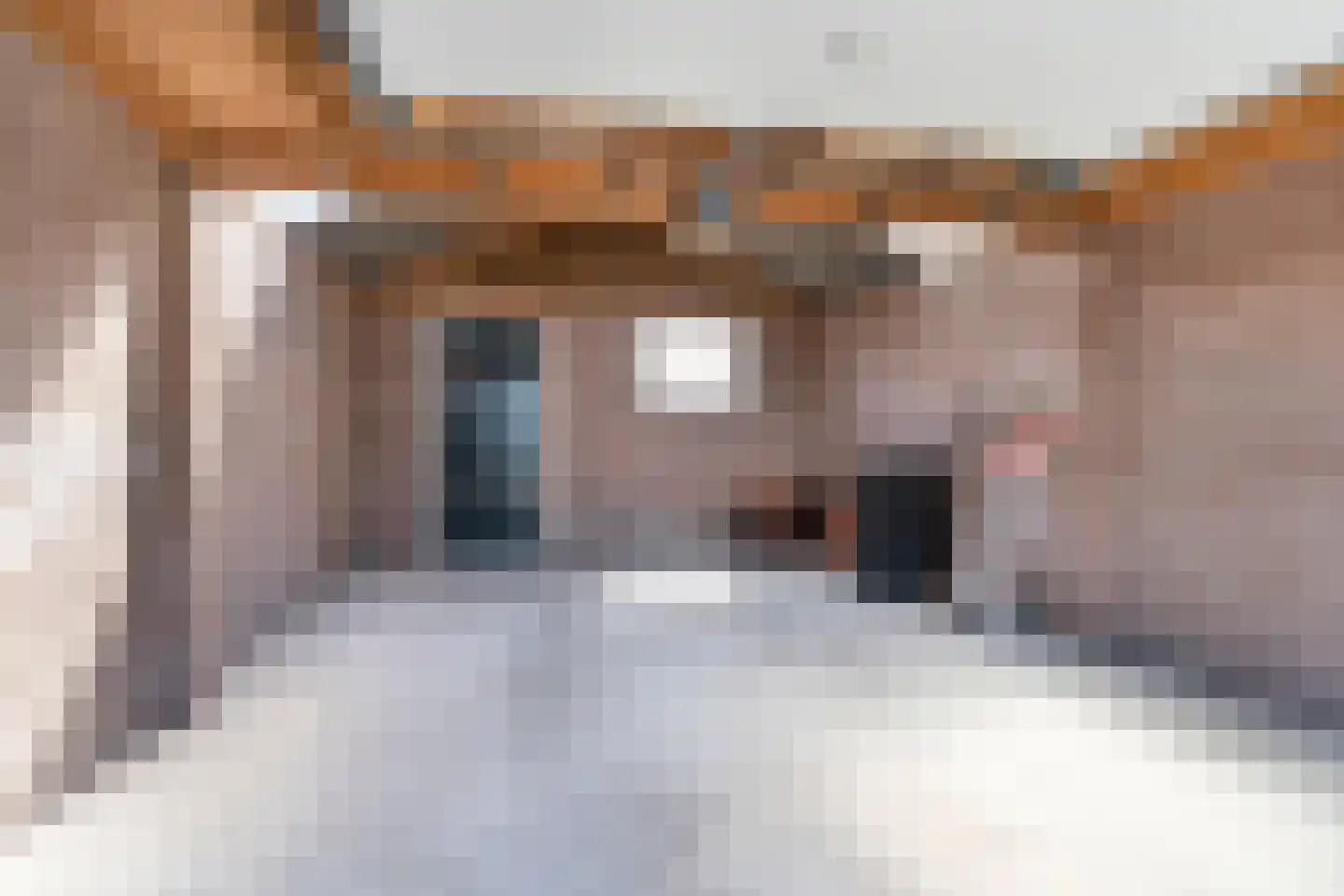 Nijesyl 46 IJlst thumbnail 50