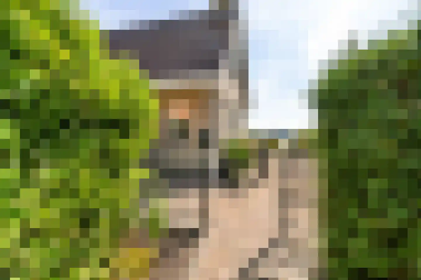 Nijesyl 46 IJlst thumbnail 52