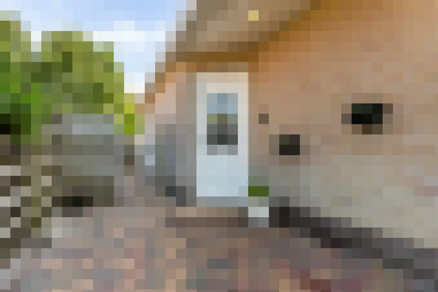 Nijesyl 46 IJlst thumbnail 53