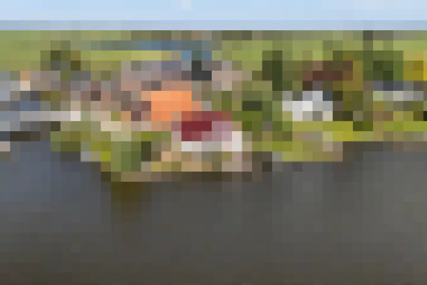 Nijesyl 46 IJlst thumbnail 57