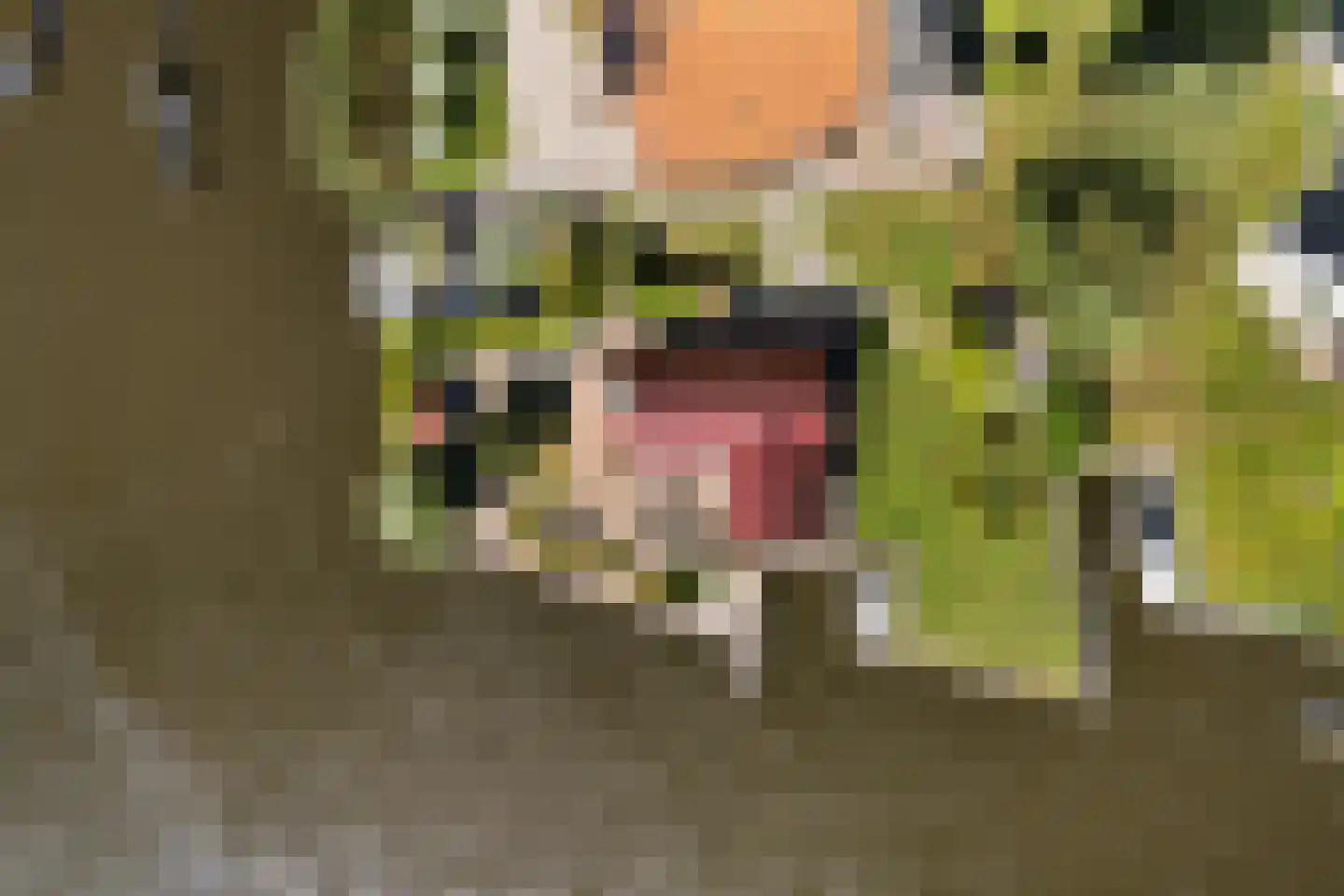 Nijesyl 46 IJlst thumbnail 58