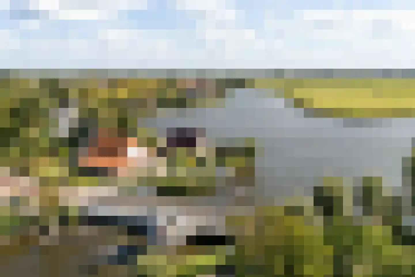 Nijesyl 46 IJlst thumbnail 59