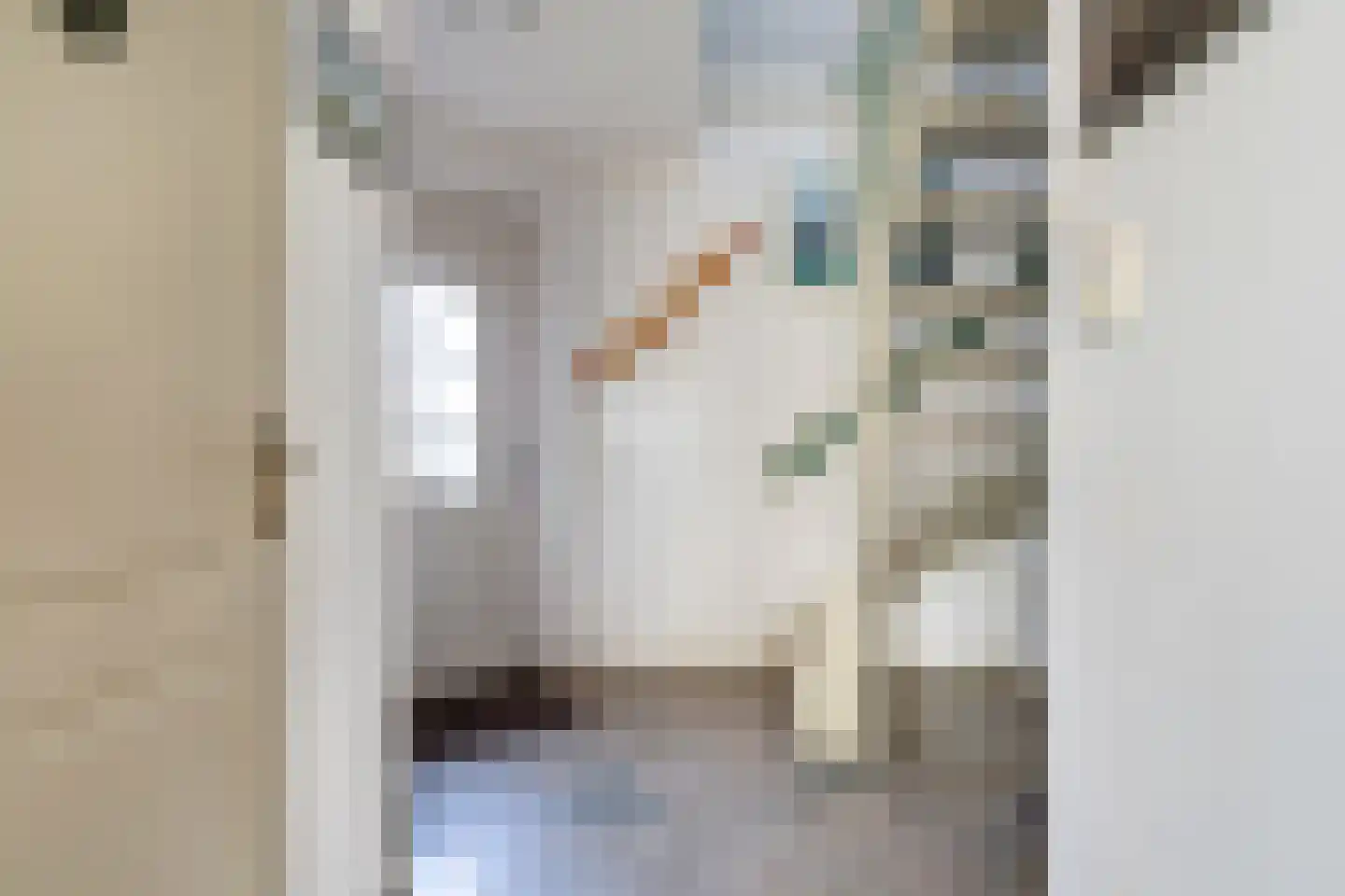 Nijesyl 46 IJlst thumbnail 7