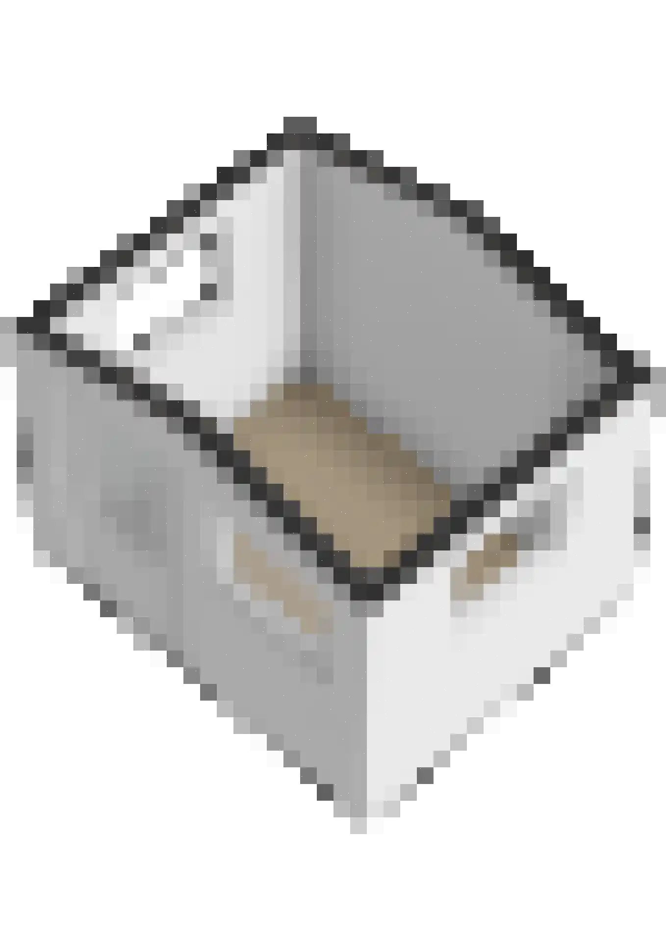 Nijesyl 46 IJlst thumbnail 71