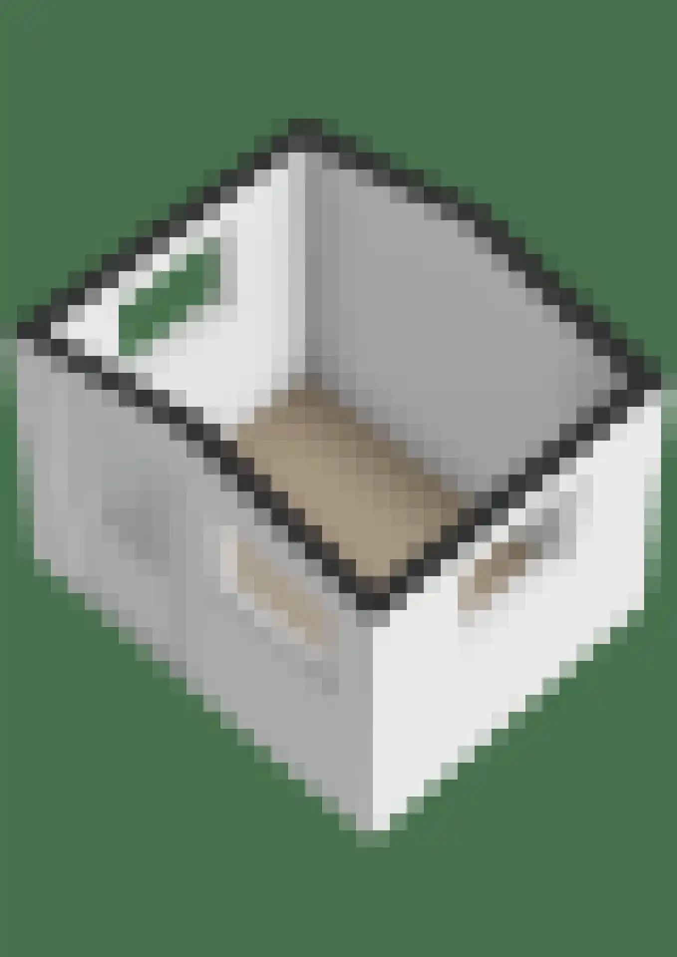 Nijesyl 46 IJlst thumbnail 71