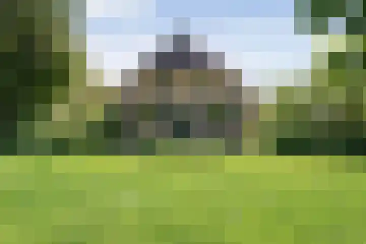 Nijeveense Bovenboer 20 Nijeveen thumbnail 10