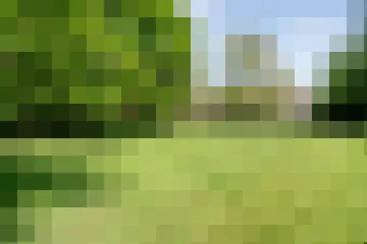Nijeveense Bovenboer 20 Nijeveen thumbnail 11