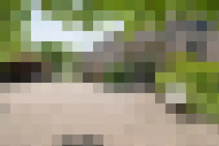 Nijeveense Bovenboer 20 Nijeveen thumbnail 13