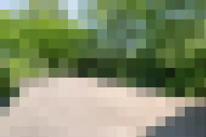 Nijeveense Bovenboer 20 Nijeveen thumbnail 14
