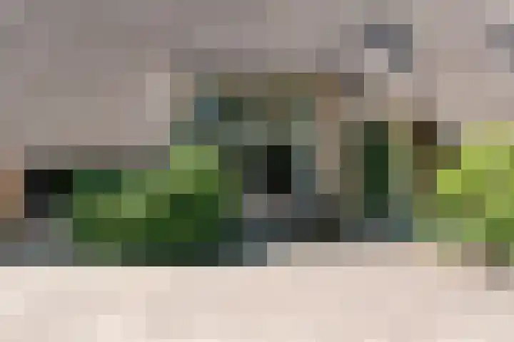 Nijeveense Bovenboer 20 Nijeveen thumbnail 15