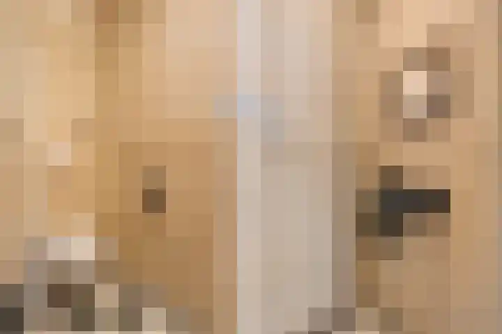 Nijeveense Bovenboer 20 Nijeveen thumbnail 18