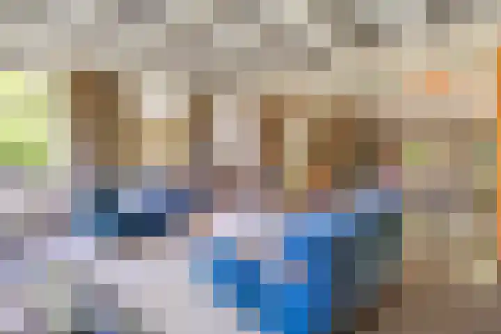 Nijeveense Bovenboer 20 Nijeveen thumbnail 19