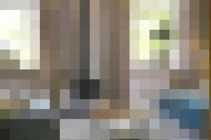Nijeveense Bovenboer 20 Nijeveen thumbnail 23