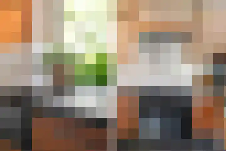 Nijeveense Bovenboer 20 Nijeveen thumbnail 30