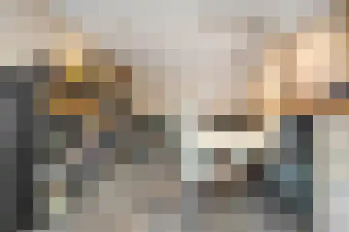 Nijeveense Bovenboer 20 Nijeveen thumbnail 32