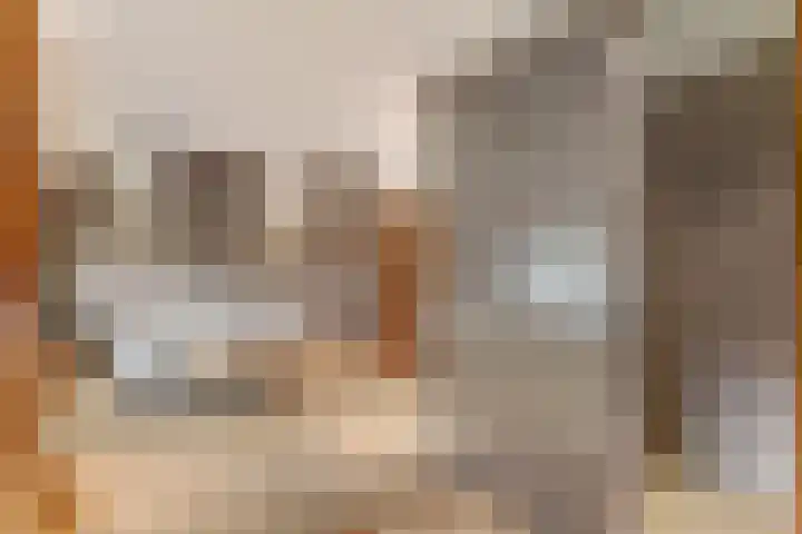 Nijeveense Bovenboer 20 Nijeveen thumbnail 37