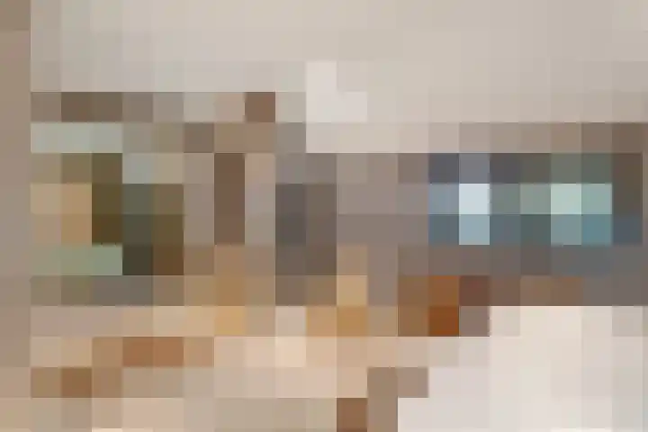 Nijeveense Bovenboer 20 Nijeveen thumbnail 40