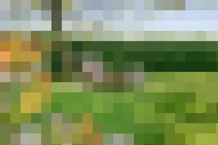 Nijeveense Bovenboer 20 Nijeveen thumbnail 58