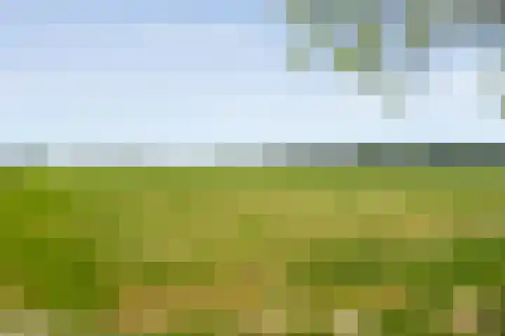 Nijeveense Bovenboer 20 Nijeveen thumbnail 59
