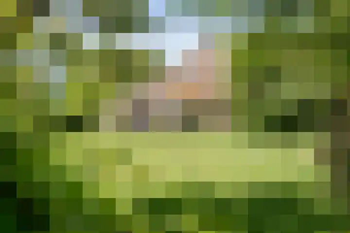 Nijeveense Bovenboer 20 Nijeveen thumbnail 60