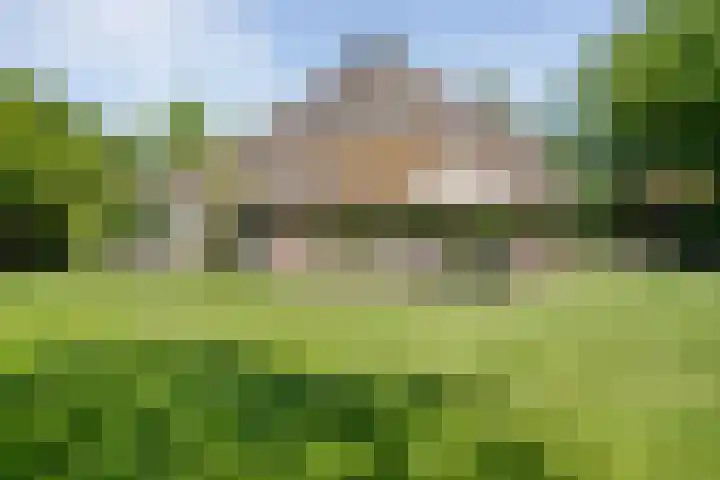 Nijeveense Bovenboer 20 Nijeveen thumbnail 61