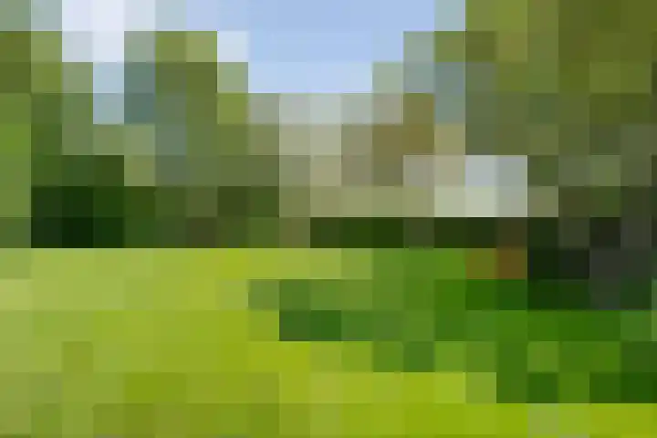 Nijeveense Bovenboer 20 Nijeveen thumbnail 62