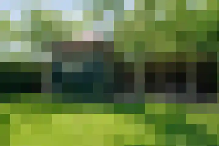 Nijeveense Bovenboer 20 Nijeveen thumbnail 63
