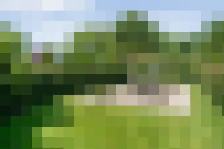 Nijeveense Bovenboer 20 Nijeveen thumbnail 64