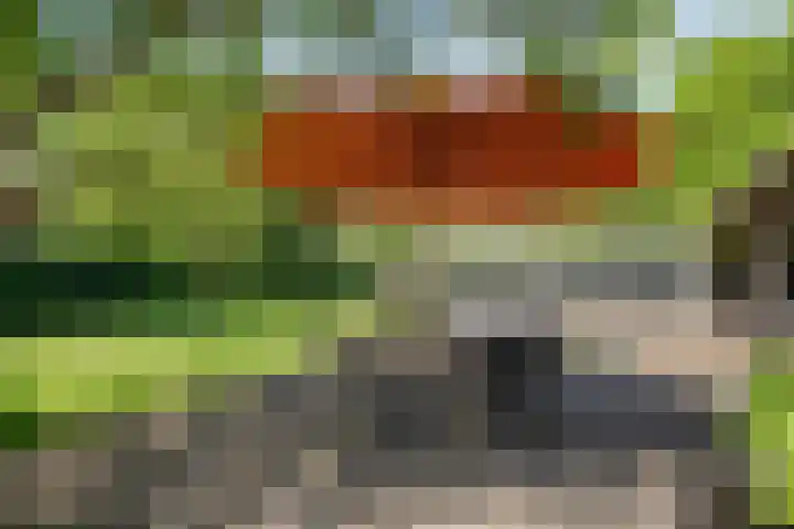 Nijeveense Bovenboer 20 Nijeveen thumbnail 66