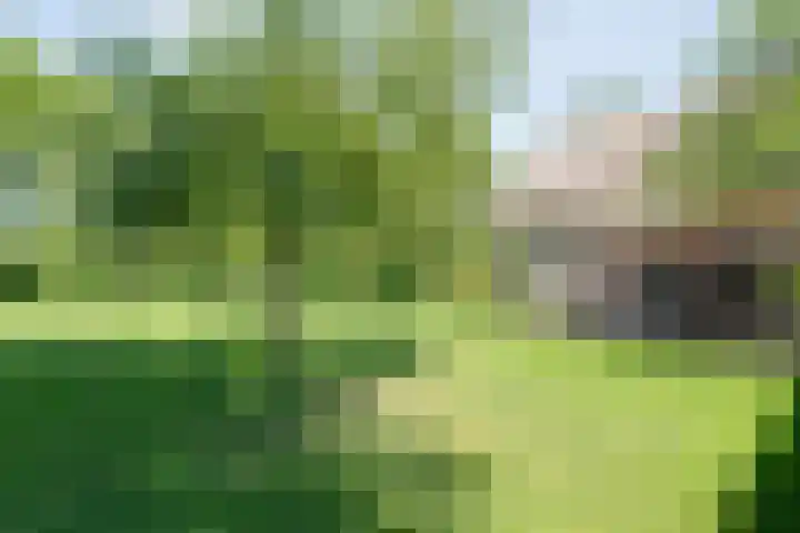 Nijeveense Bovenboer 20 Nijeveen thumbnail 67