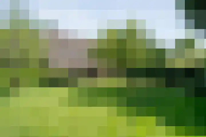 Nijeveense Bovenboer 20 Nijeveen thumbnail 68