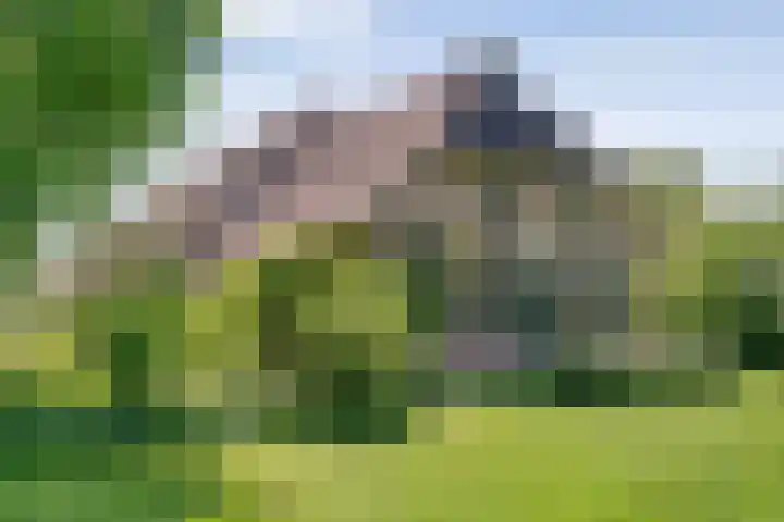 Nijeveense Bovenboer 20 Nijeveen thumbnail 7