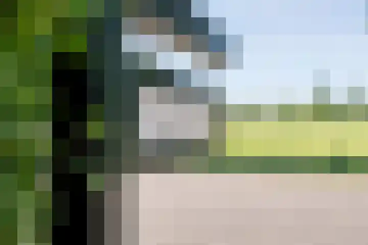 Nijeveense Bovenboer 20 Nijeveen thumbnail 9