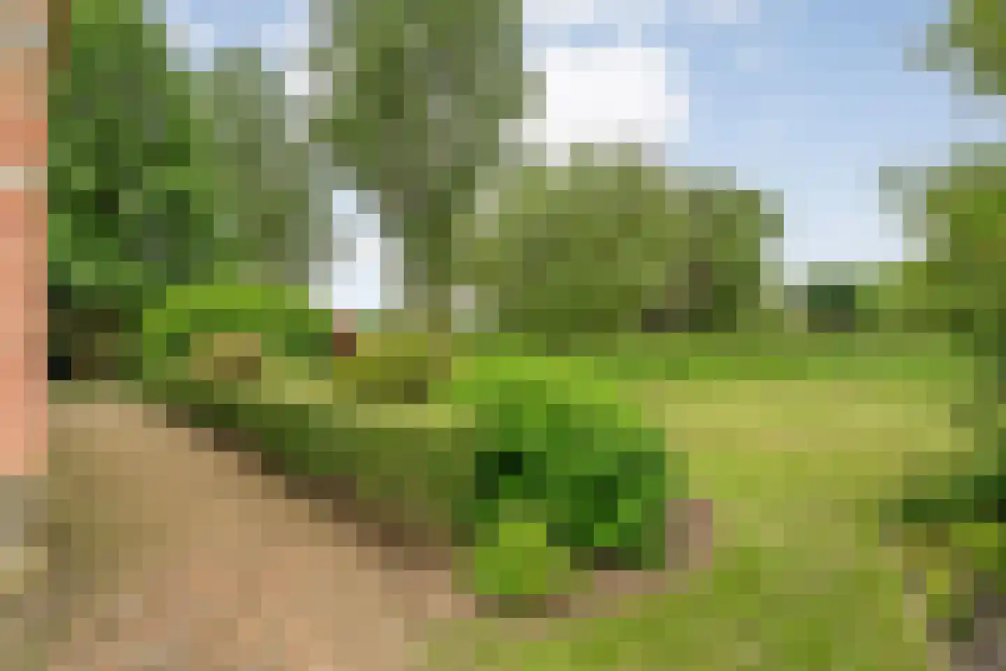 Nijeveense Bovenboer 22 Nijeveen thumbnail 12