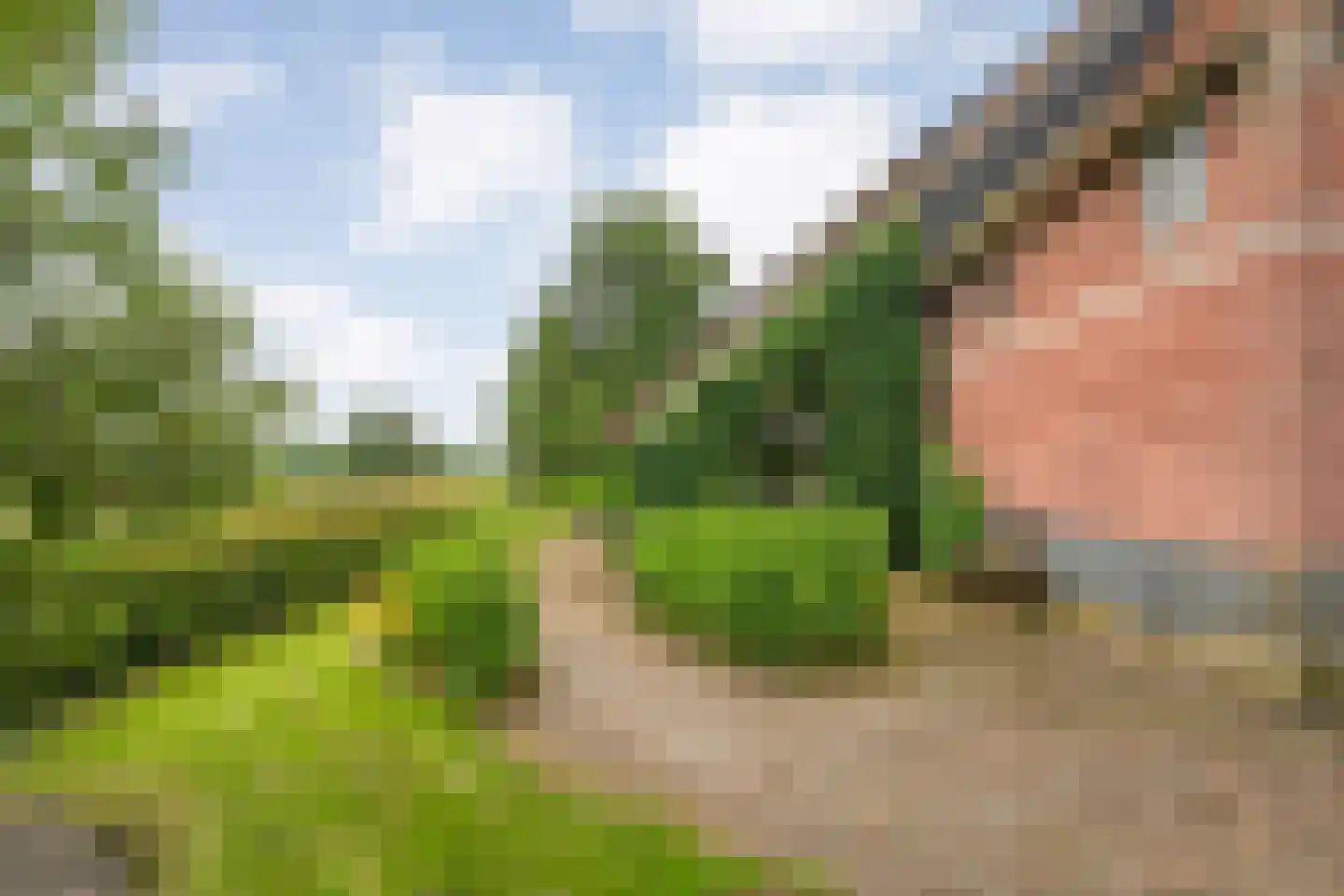 Nijeveense Bovenboer 22 Nijeveen thumbnail 13
