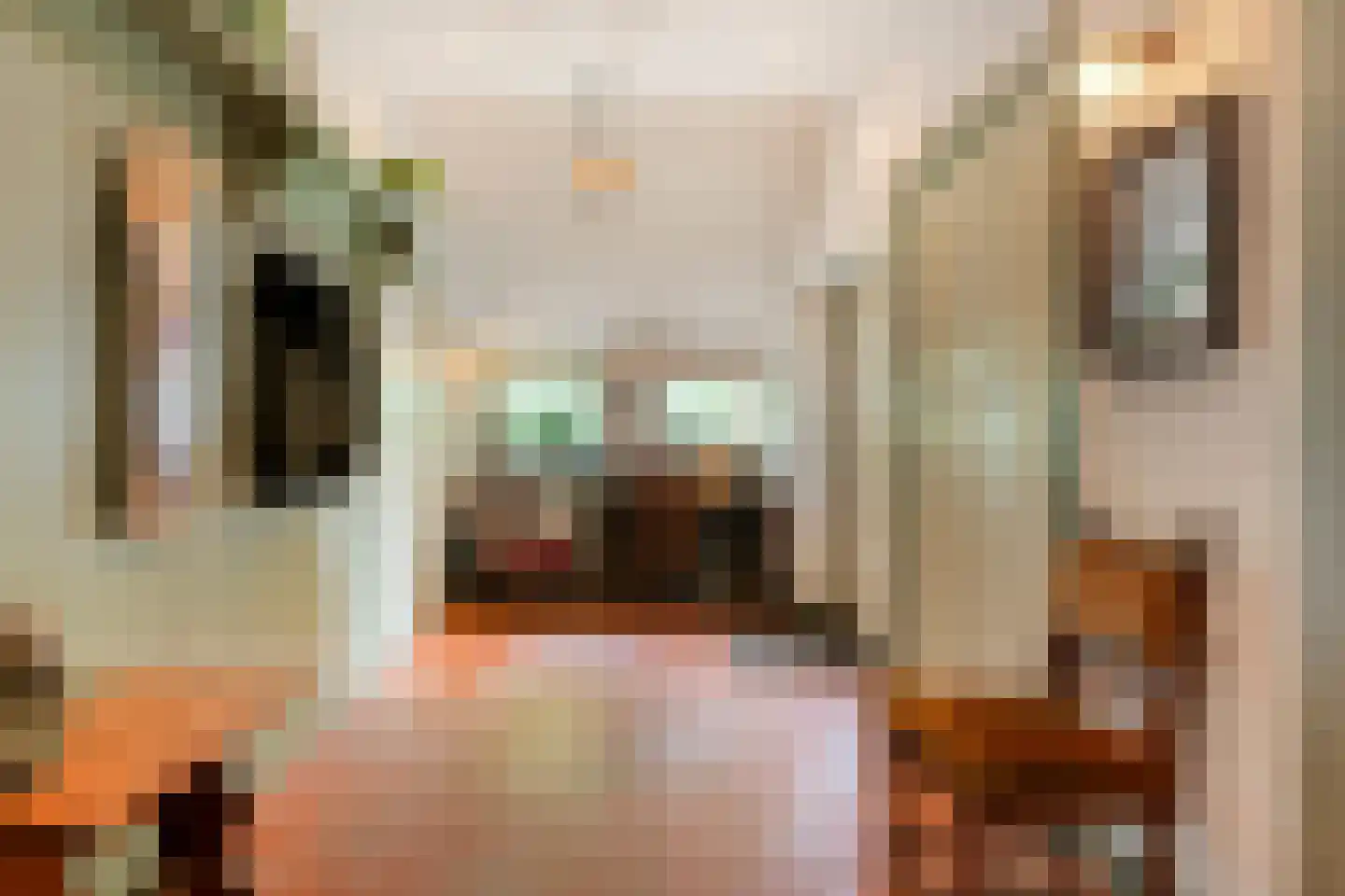 Nijeveense Bovenboer 22 Nijeveen thumbnail 17