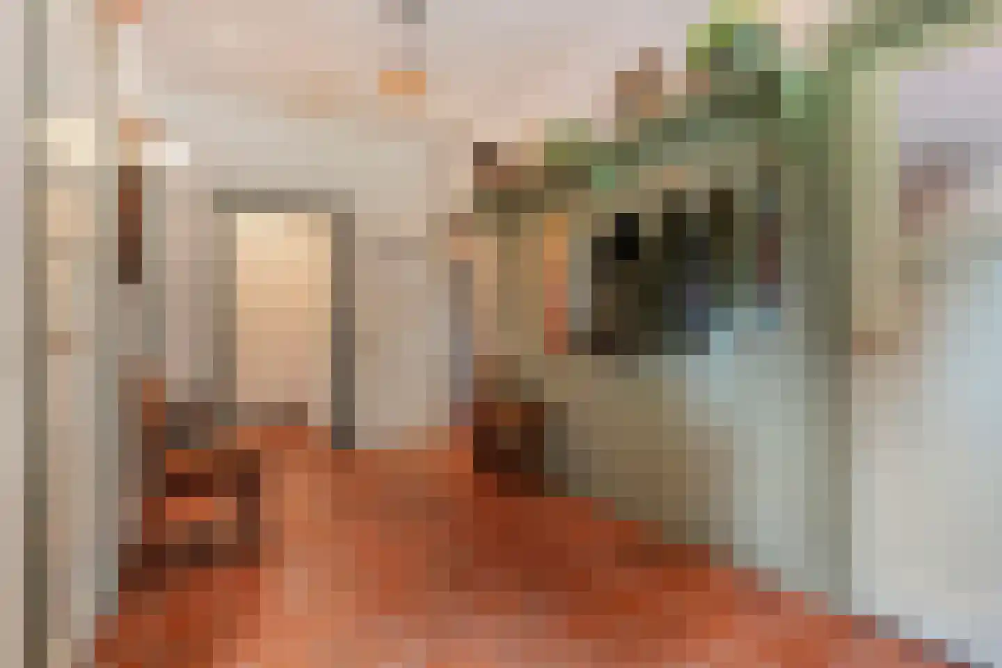 Nijeveense Bovenboer 22 Nijeveen thumbnail 18
