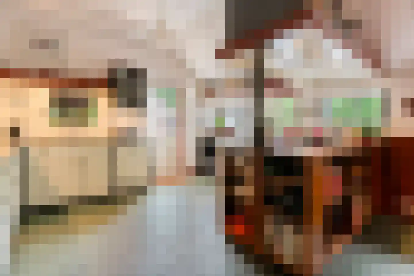 Nijeveense Bovenboer 22 Nijeveen thumbnail 23
