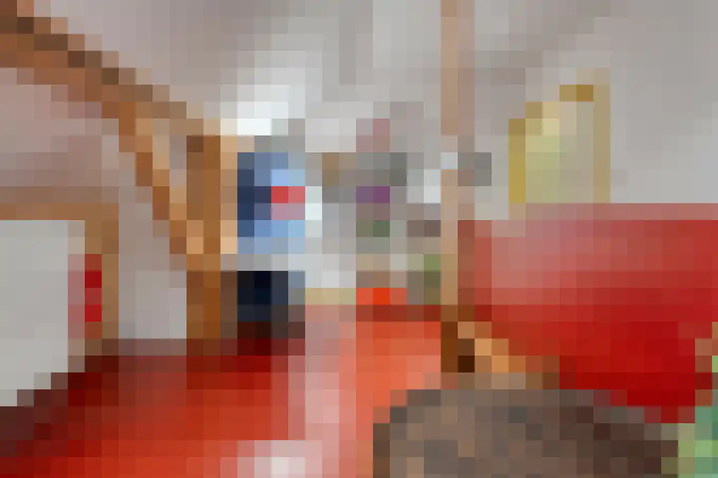 Nijeveense Bovenboer 22 Nijeveen thumbnail 47