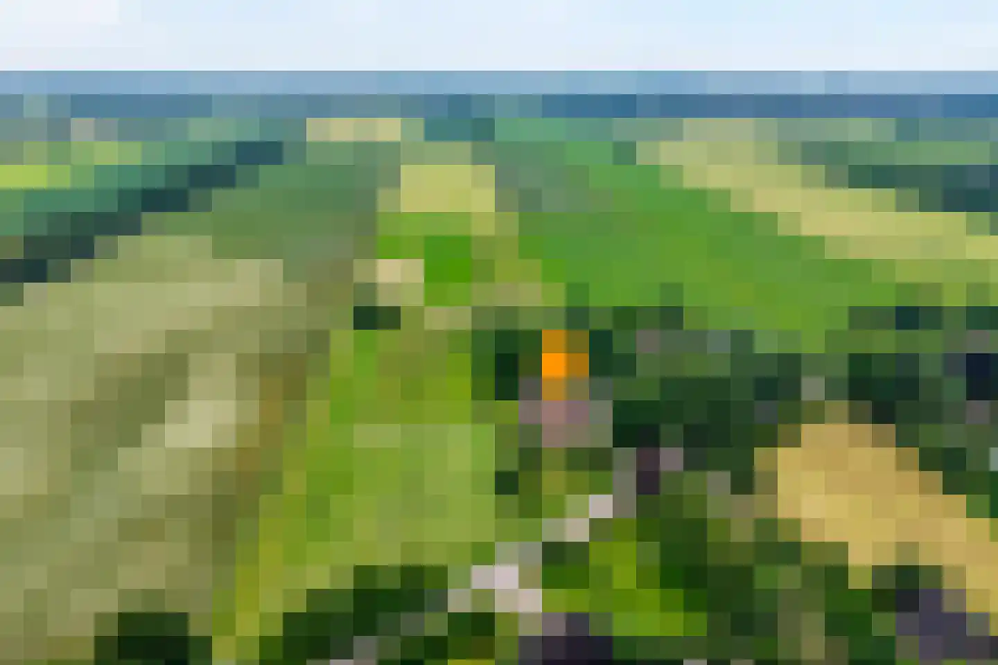 Nijeveense Bovenboer 22 Nijeveen thumbnail 5