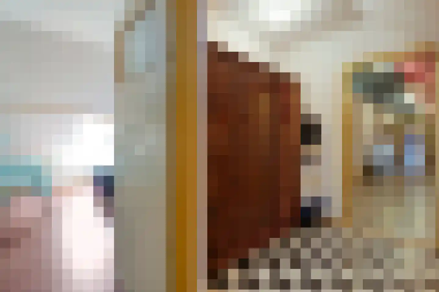 Nijeveense Bovenboer 22 Nijeveen thumbnail 51