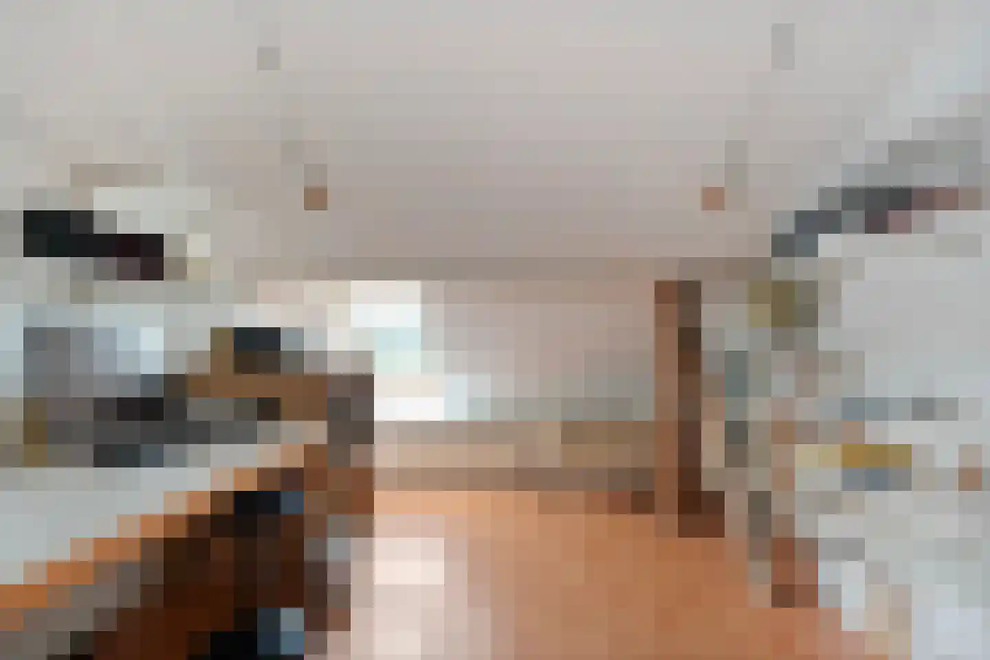 Nijeveense Bovenboer 22 Nijeveen thumbnail 56