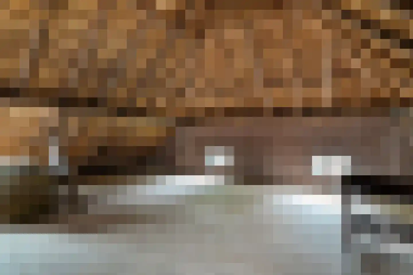 Nijeveense Bovenboer 22 Nijeveen thumbnail 59