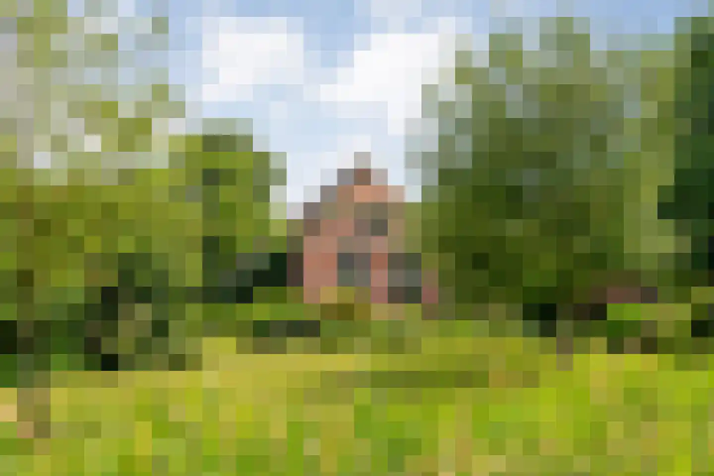 Nijeveense Bovenboer 22 Nijeveen thumbnail 6