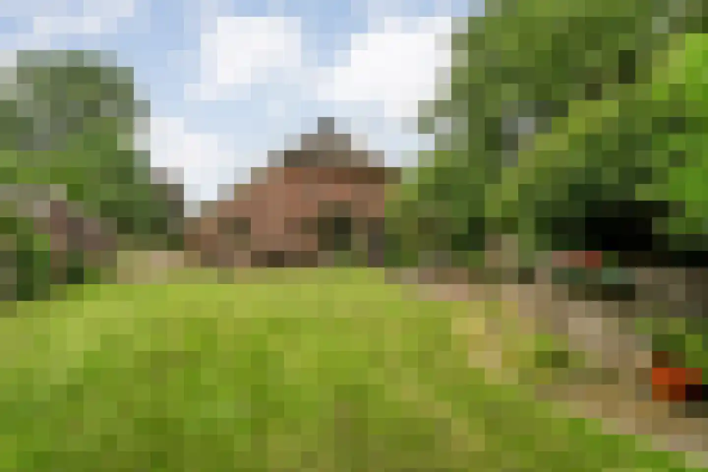 Nijeveense Bovenboer 22 Nijeveen thumbnail 61