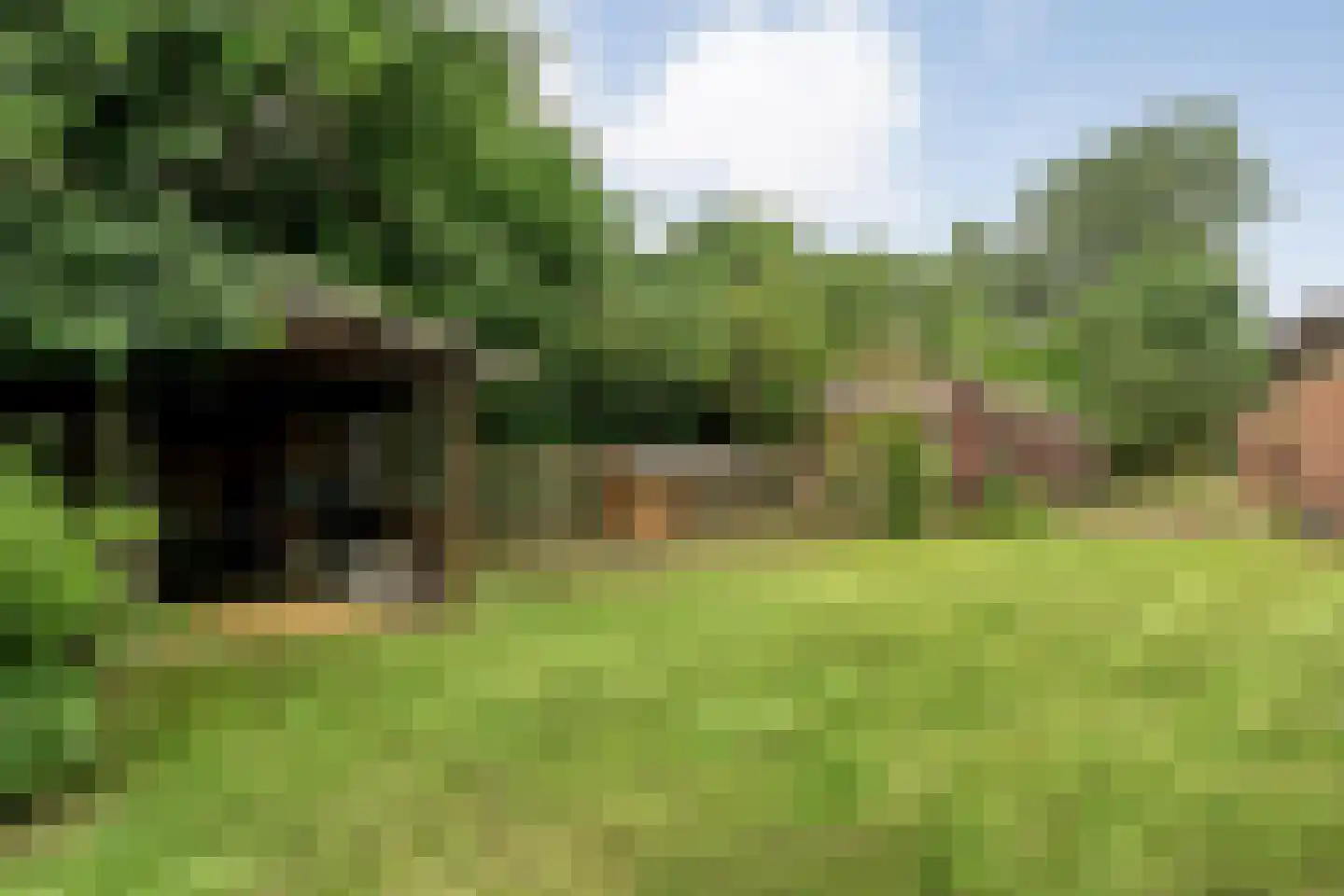 Nijeveense Bovenboer 22 Nijeveen thumbnail 62