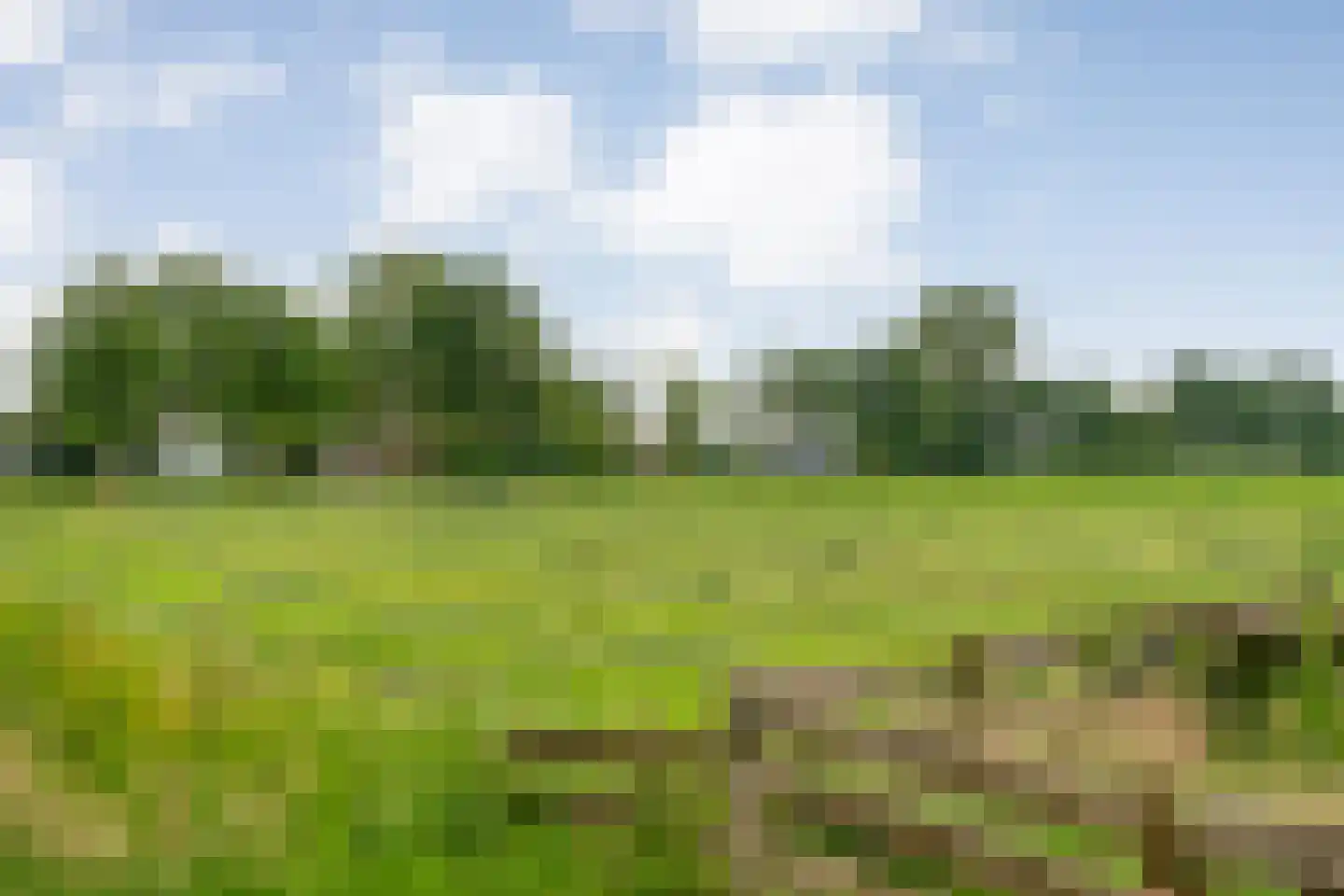 Nijeveense Bovenboer 22 Nijeveen thumbnail 64