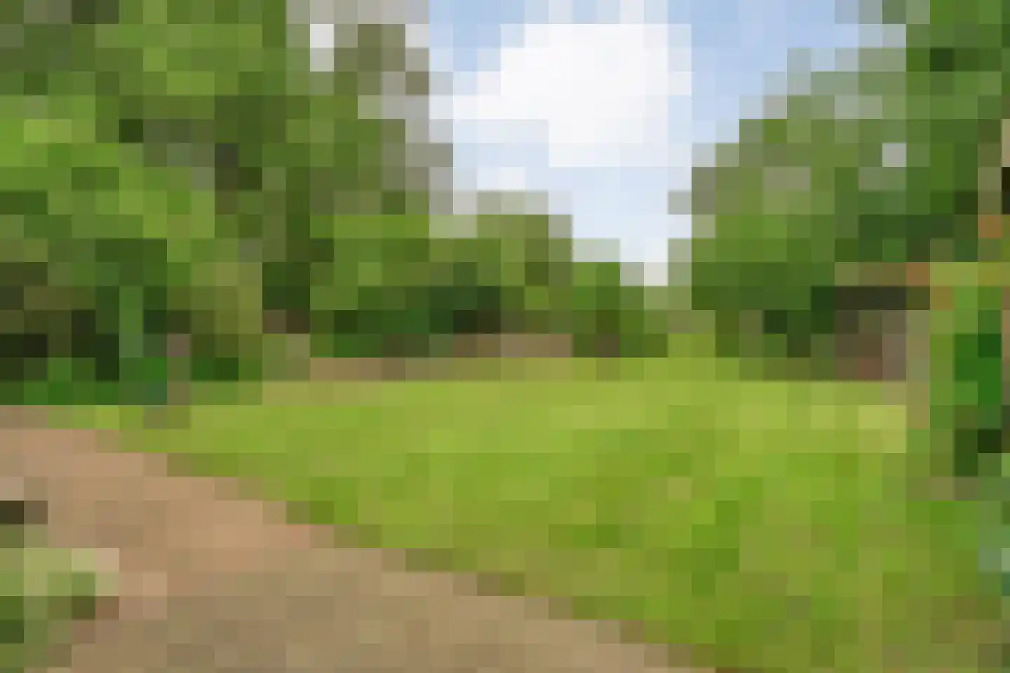 Nijeveense Bovenboer 22 Nijeveen thumbnail 65