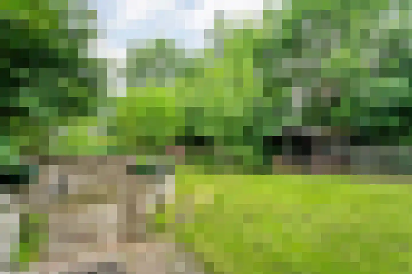 Nijeveense Bovenboer 22 Nijeveen thumbnail 66