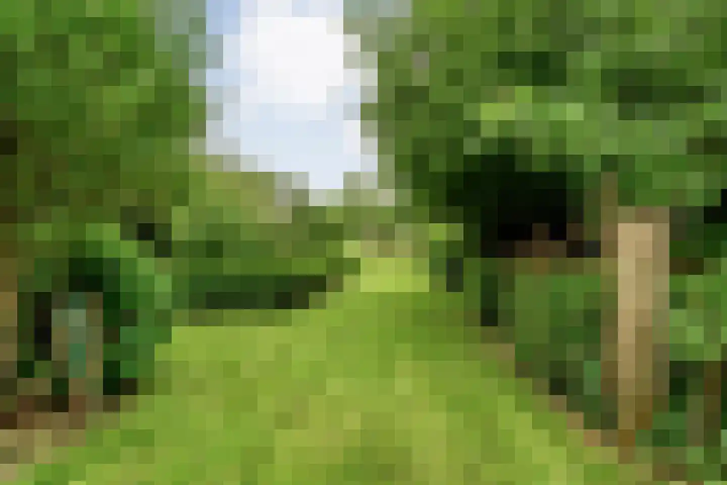 Nijeveense Bovenboer 22 Nijeveen thumbnail 67